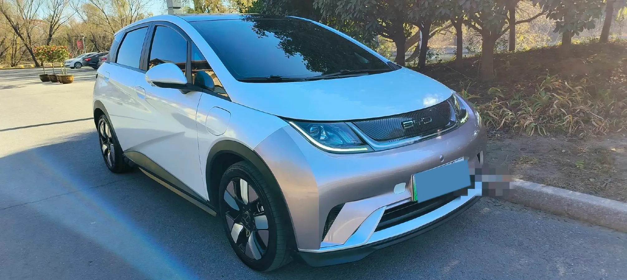 2023 BYD Dolphin BEV 44.928KWH,autocango,china used car exporter,china ev exporter,chinese used car exporter,chinese used ev exporter