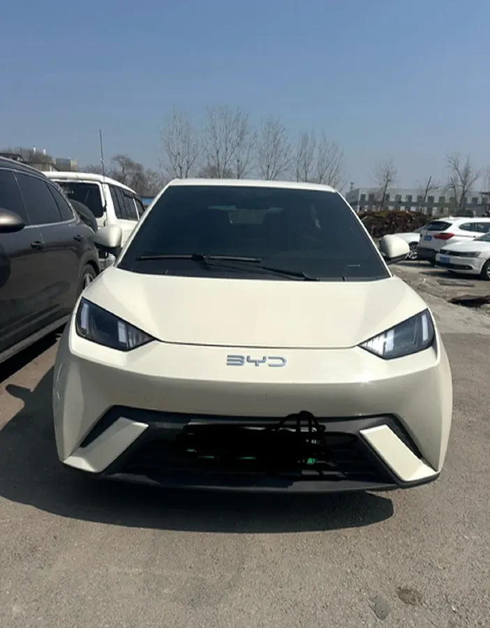 2025 BYD Seagull BEV 30.08KWH,autocango,china used car exporter,china ev exporter,chinese used car exporter,chinese used ev exporter