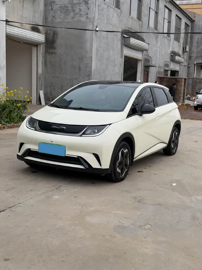 2021 BYD Yuan Pro BEV 50.1KWH,autocango,china used car exporter,china ev exporter,chinese used car exporter,chinese used ev exporter
