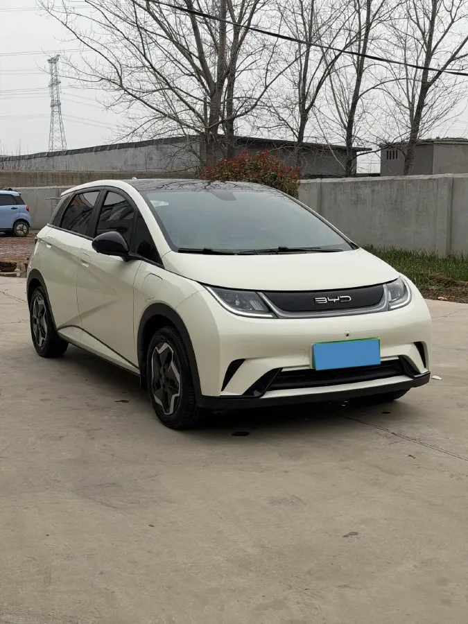 2021 BYD Yuan Pro BEV 50.1KWH,autocango,china used car exporter,china ev exporter,chinese used car exporter,chinese used ev exporter