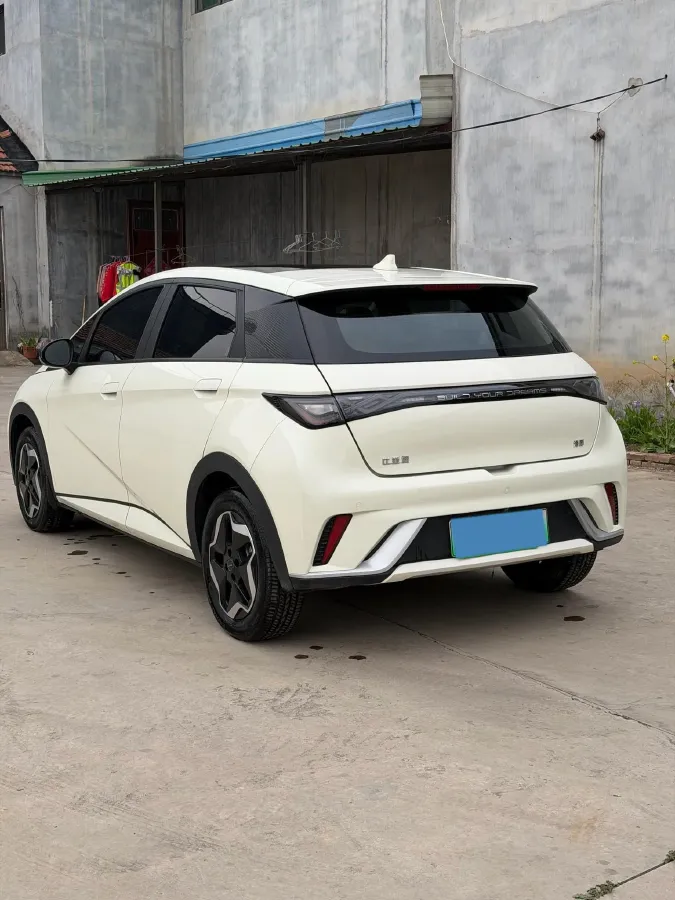 2021 BYD Yuan Pro BEV 50.1KWH,autocango,china used car exporter,china ev exporter,chinese used car exporter,chinese used ev exporter
