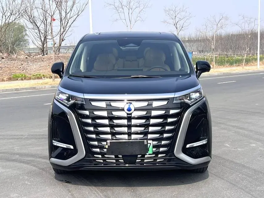 2024 Denza D9 1.5T 139HP L4 E-CVT PHEV 40KWH,autocango,china used car exporter,china ev exporter,chinese used car exporter,chinese used ev exporter
