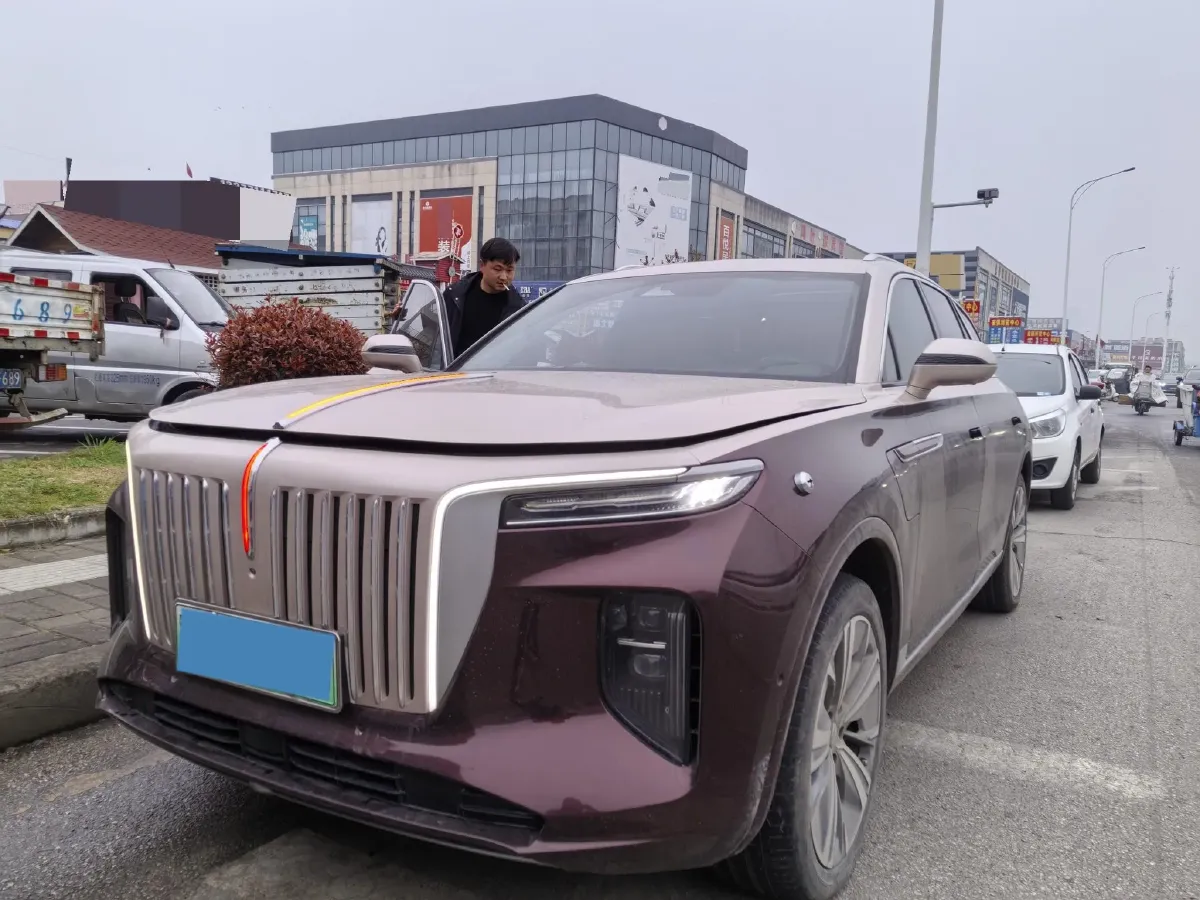 2021 HongQi E-HS9 BEV 99KWH,autocango,china used car exporter,china ev exporter,chinese used car exporter,chinese used ev exporter