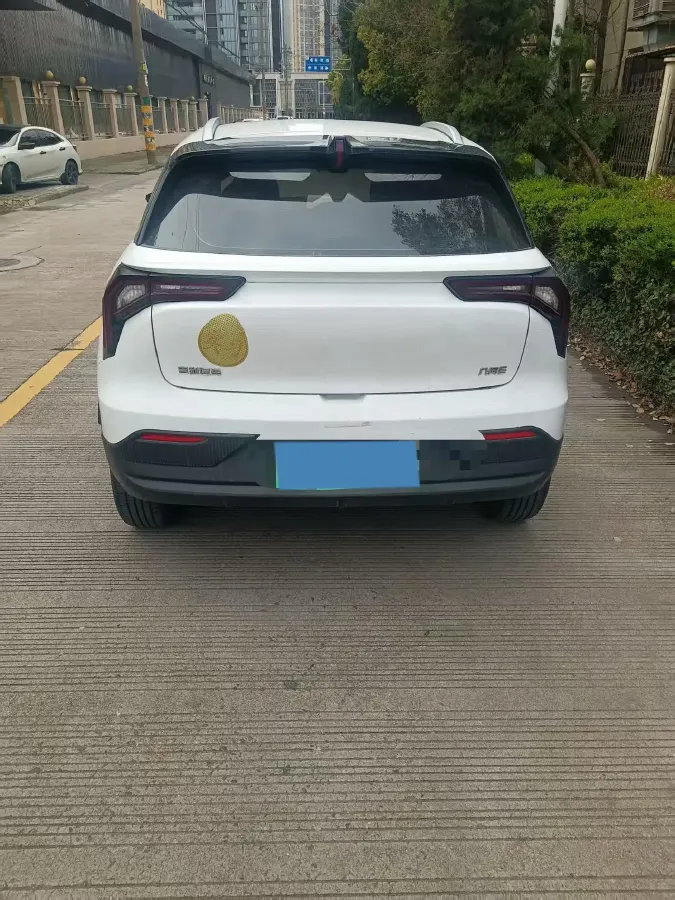 2024 Geometry E BEV 29.67KWH,autocango,china used car exporter,china ev exporter,chinese used car exporter,chinese used ev exporter