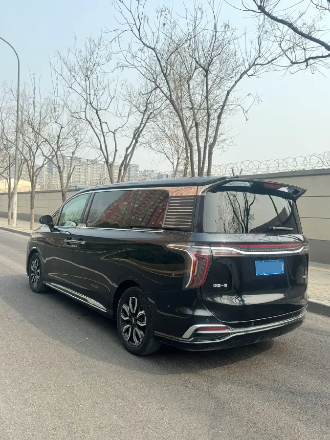 2023 HongQi HQ9 2.0T 252HP L4 8AT,autocango,china used car exporter,china ev exporter,chinese used car exporter,chinese used ev exporter