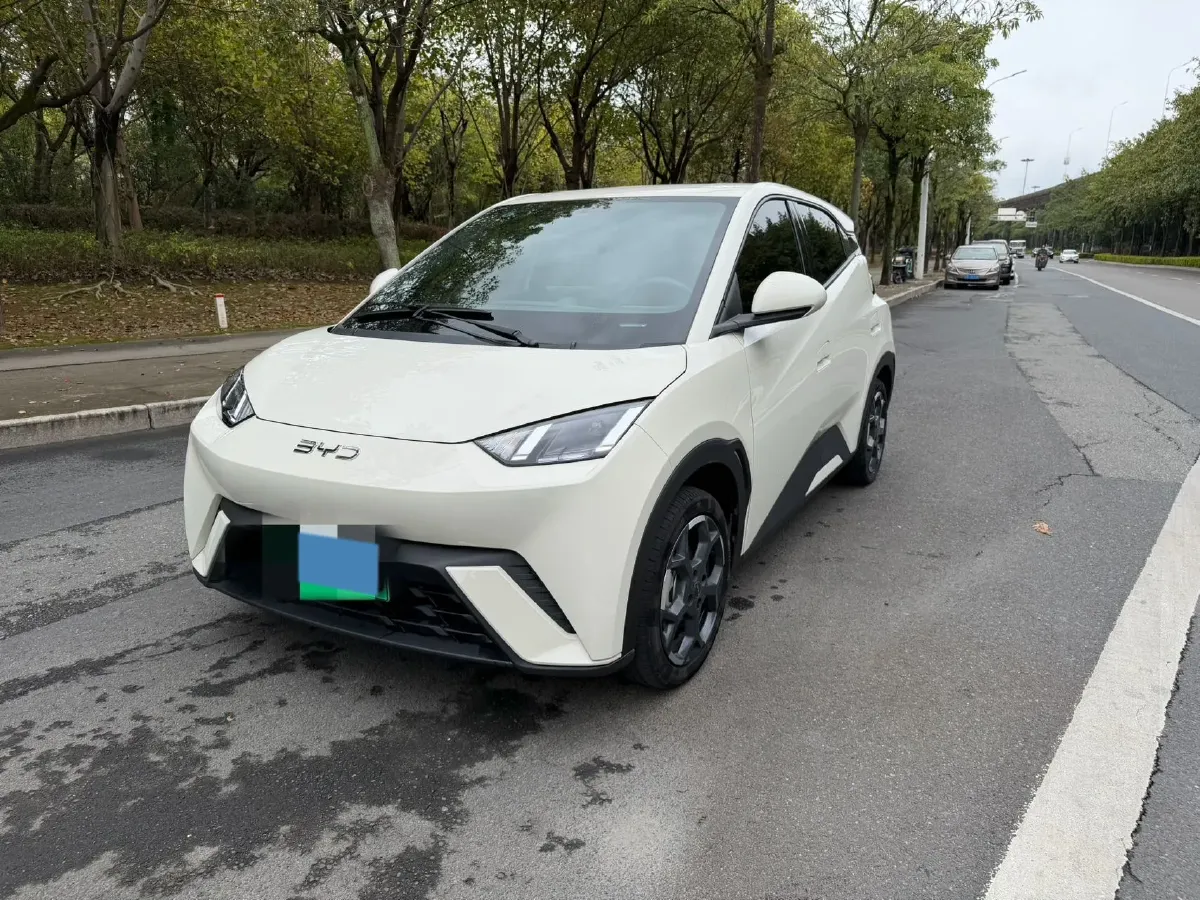 2025 BYD Seagull BEV 30.08KWH,autocango,china used car exporter,china ev exporter,chinese used car exporter,chinese used ev exporter