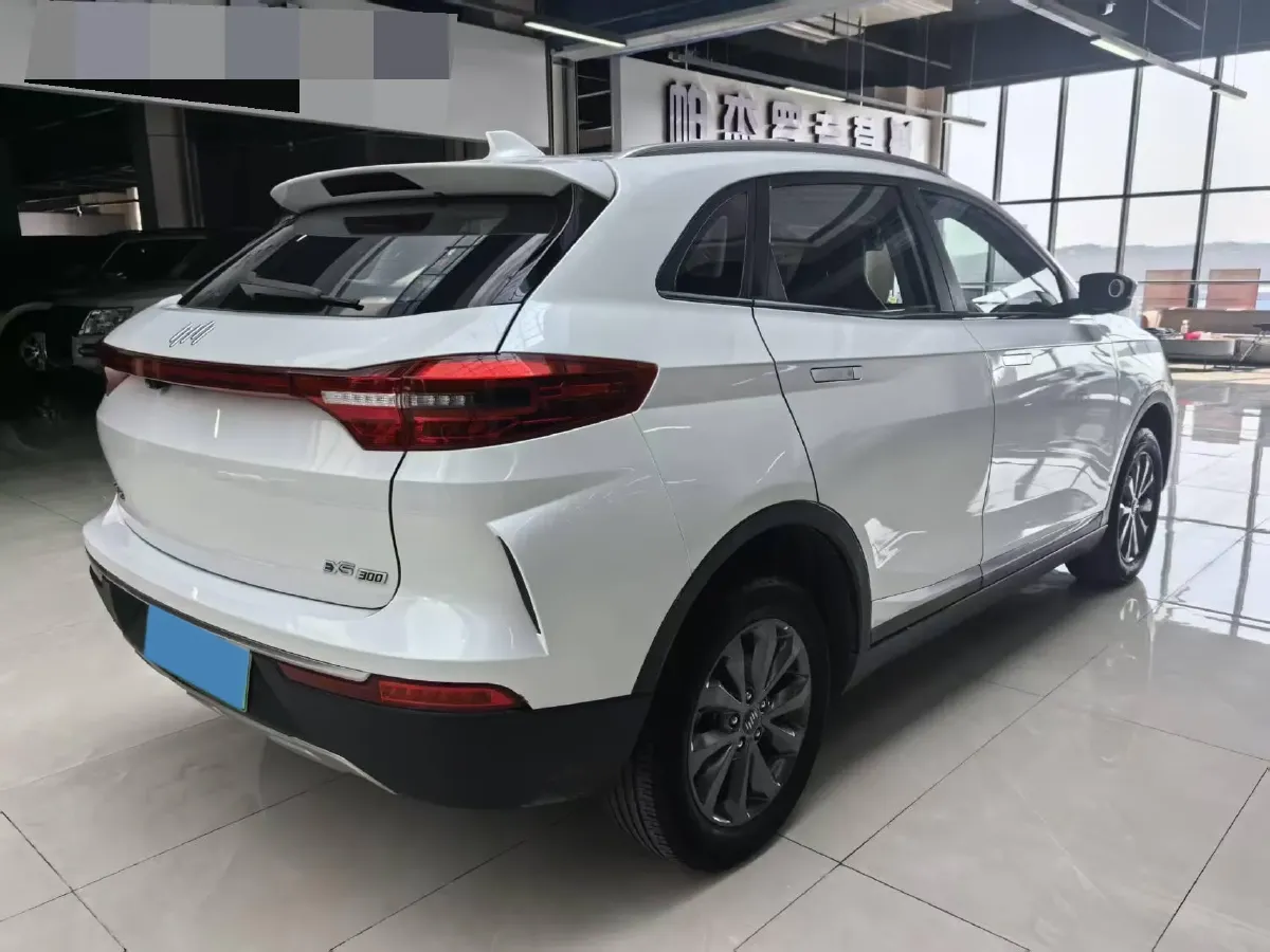 2019 Weltmeister EX5 BEV 48.08KWH,autocango,china used car exporter,china ev exporter,chinese used car exporter,chinese used ev exporter