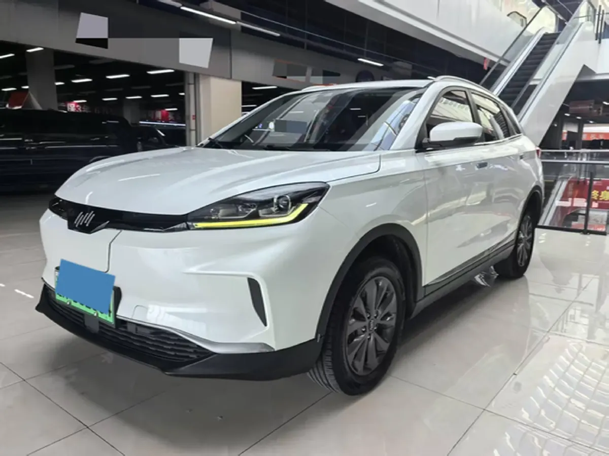 2019 Weltmeister EX5 BEV 48.08KWH,autocango,china used car exporter,china ev exporter,chinese used car exporter,chinese used ev exporter