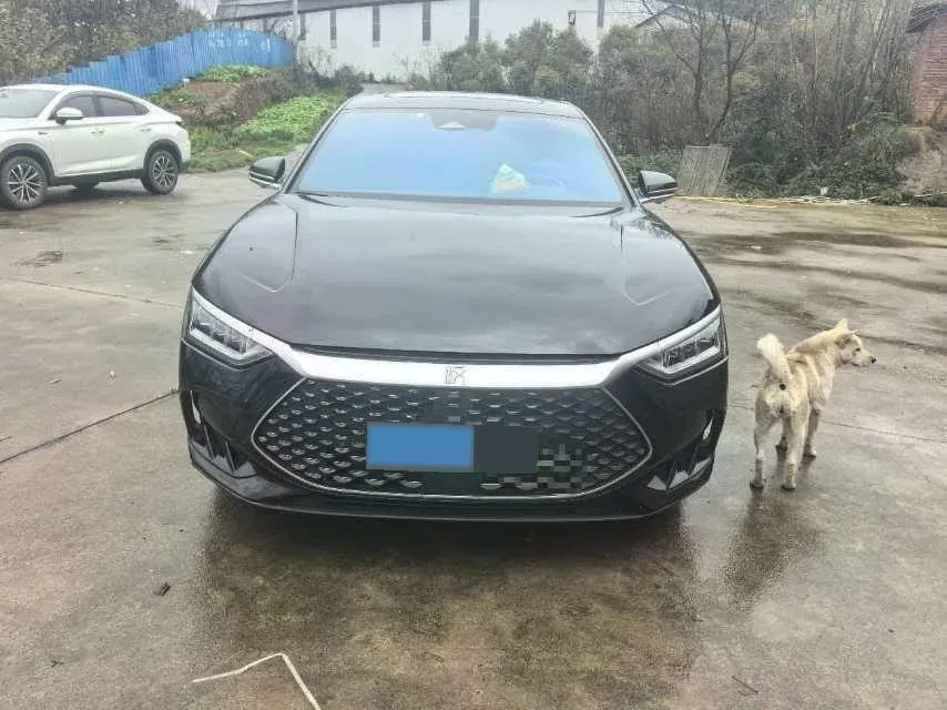 2023 BYD Seagull BEV 30.08KWH,autocango,china used car exporter,china ev exporter,chinese used car exporter,chinese used ev exporter