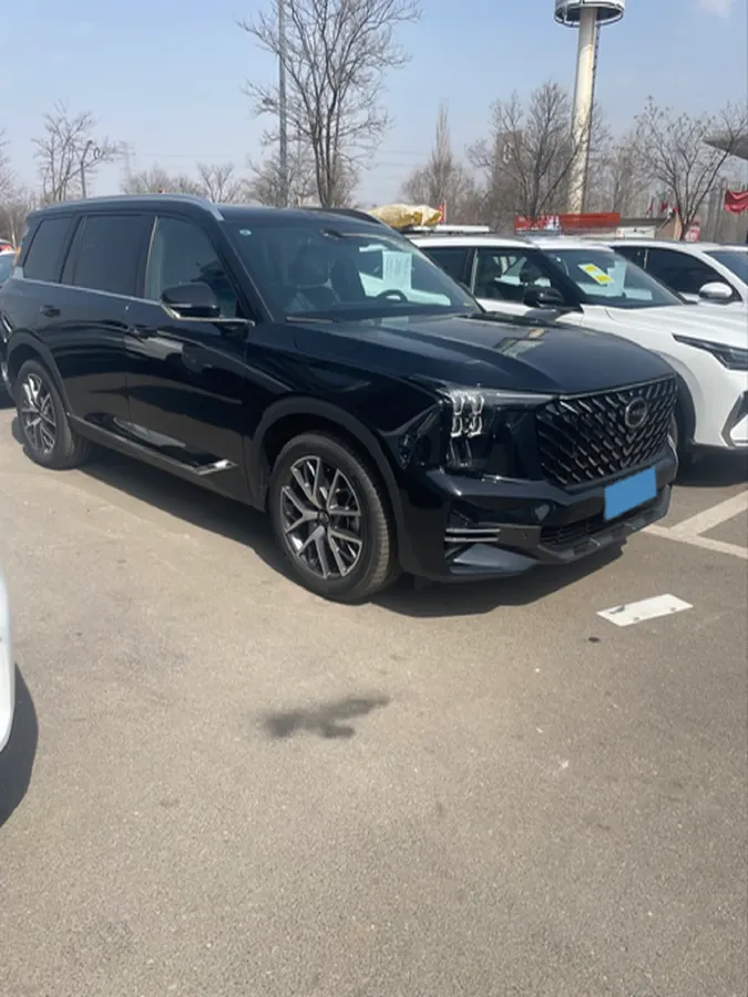 2025 GAC Trumpchi GS8 2.0T 252HP L4 8AT,autocango,china used car exporter,china ev exporter,chinese used car exporter,chinese used ev exporter