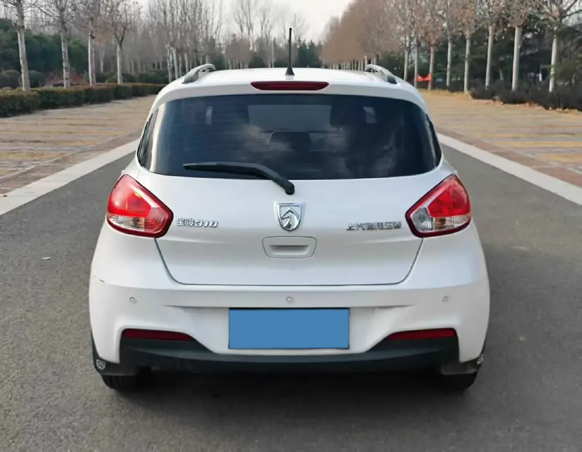2016 BaoJun 310 1.2L 82HP L4 5MT,autocango,china used car exporter,china ev exporter,chinese used car exporter,chinese used ev exporter