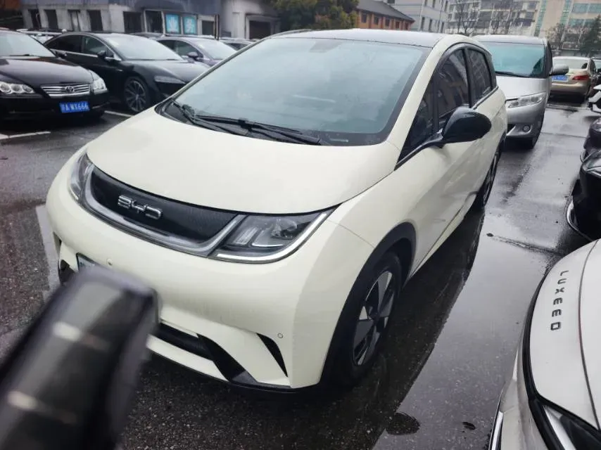 2023 BYD Dolphin BEV 44.928KWH,autocango,china used car exporter,china ev exporter,chinese used car exporter,chinese used ev exporter