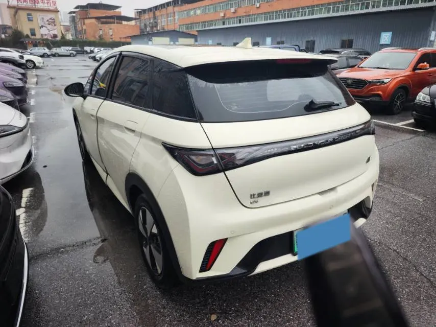 2023 BYD Dolphin BEV 44.928KWH,autocango,china used car exporter,china ev exporter,chinese used car exporter,chinese used ev exporter