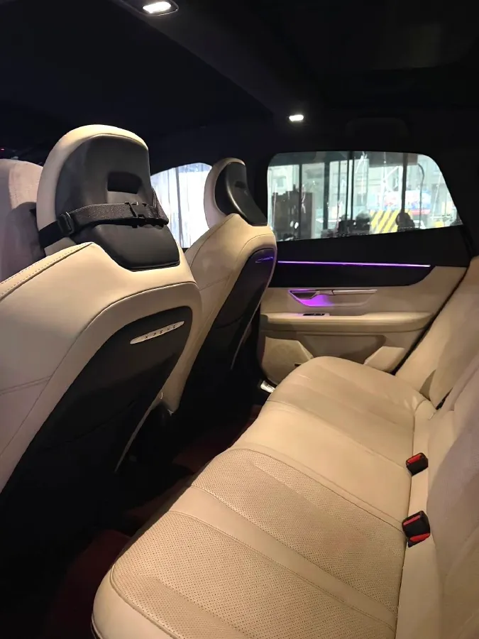 2021 Xpeng P7 BEV 60.2KWH,autocango,china used car exporter,china ev exporter,chinese used car exporter,chinese used ev exporter