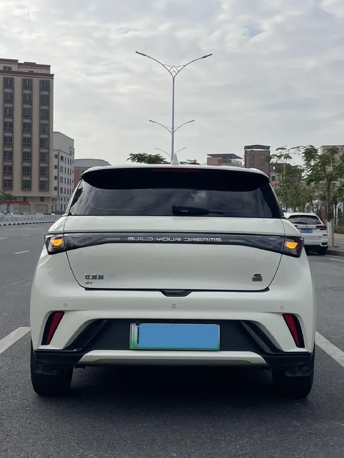 2023 BYD Dolphin BEV 44.928KWH,autocango,china used car exporter,china ev exporter,chinese used car exporter,chinese used ev exporter