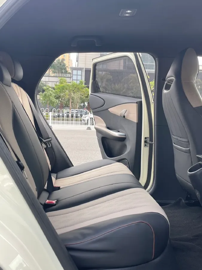 2023 BYD Dolphin BEV 44.928KWH,autocango,china used car exporter,china ev exporter,chinese used car exporter,chinese used ev exporter