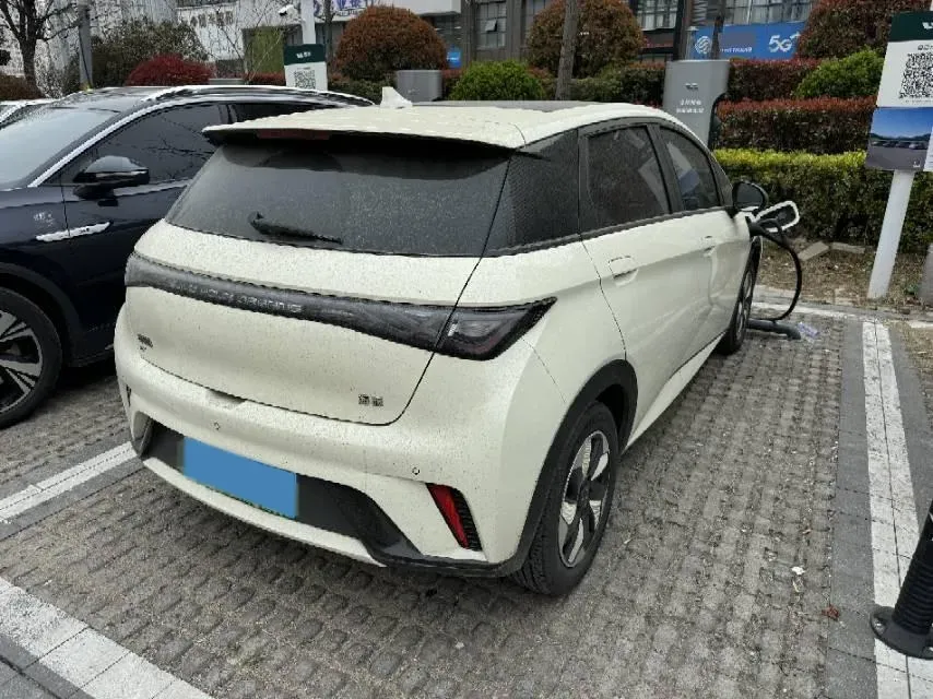 2024 BYD Dolphin BEV 44.928KWH,autocango,china used car exporter,china ev exporter,chinese used car exporter,chinese used ev exporter