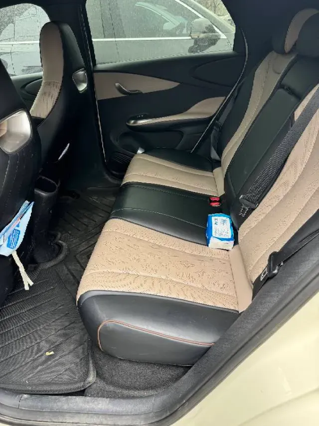 2024 BYD Dolphin BEV 44.928KWH,autocango,china used car exporter,china ev exporter,chinese used car exporter,chinese used ev exporter