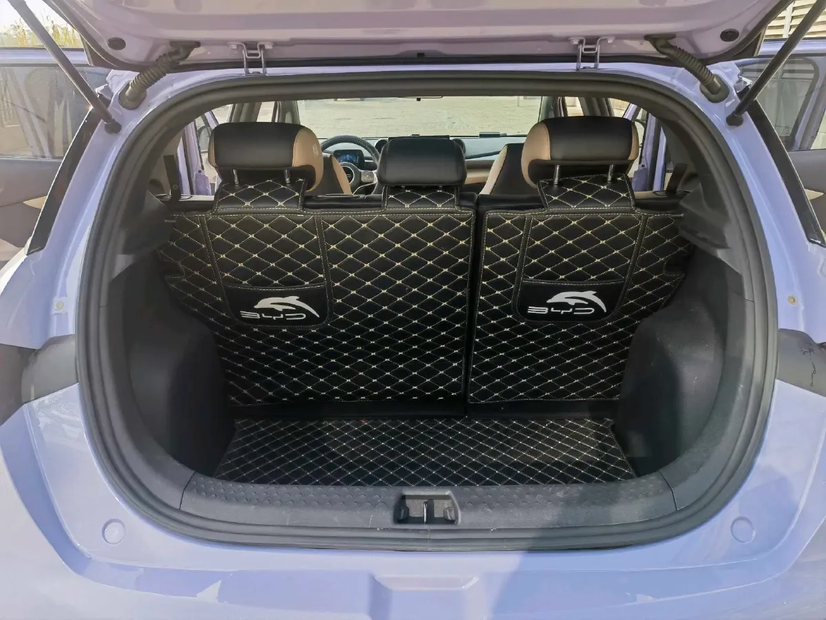 2023 BYD Dolphin BEV 44.928KWH,autocango,china used car exporter,china ev exporter,chinese used car exporter,chinese used ev exporter