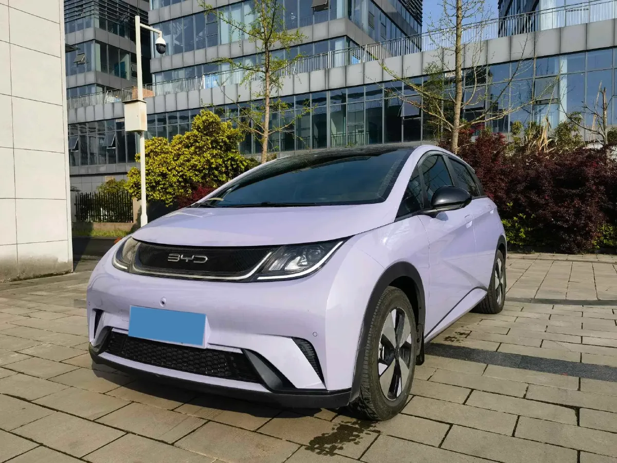 2023 BYD Dolphin BEV 44.928KWH,autocango,china used car exporter,china ev exporter,chinese used car exporter,chinese used ev exporter