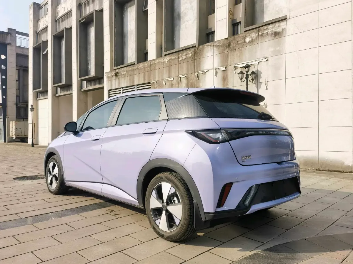 2023 BYD Dolphin BEV 44.928KWH,autocango,china used car exporter,china ev exporter,chinese used car exporter,chinese used ev exporter