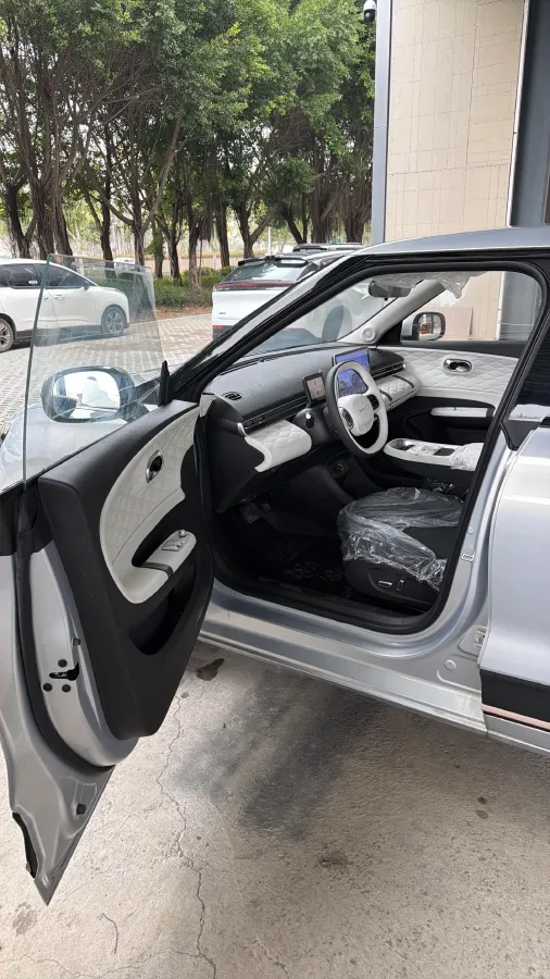 2024 DongFeng eπ 01 BEV 31.45KWH,autocango,china used car exporter,china ev exporter,chinese used car exporter,chinese used ev exporter