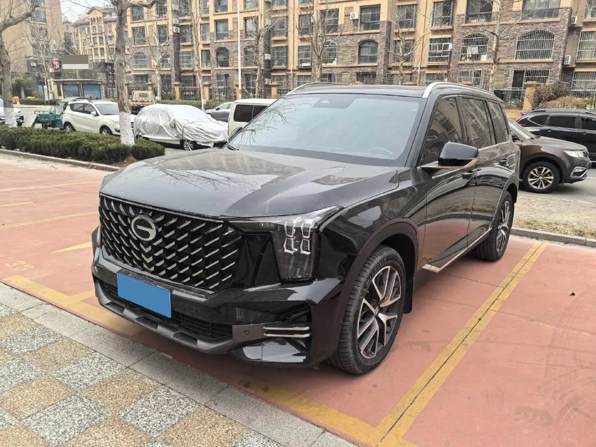 2024 GAC Trumpchi GS8 2.0T 252HP L4 8AT,autocango,china used car exporter,china ev exporter,chinese used car exporter,chinese used ev exporter