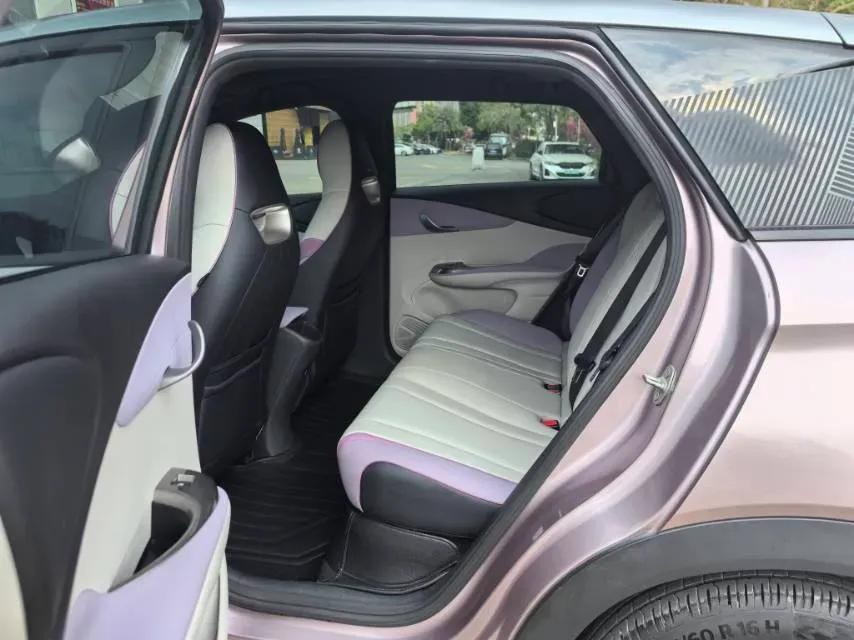 2021 BYD Yuan Pro BEV 50.1KWH,autocango,china used car exporter,china ev exporter,chinese used car exporter,chinese used ev exporter