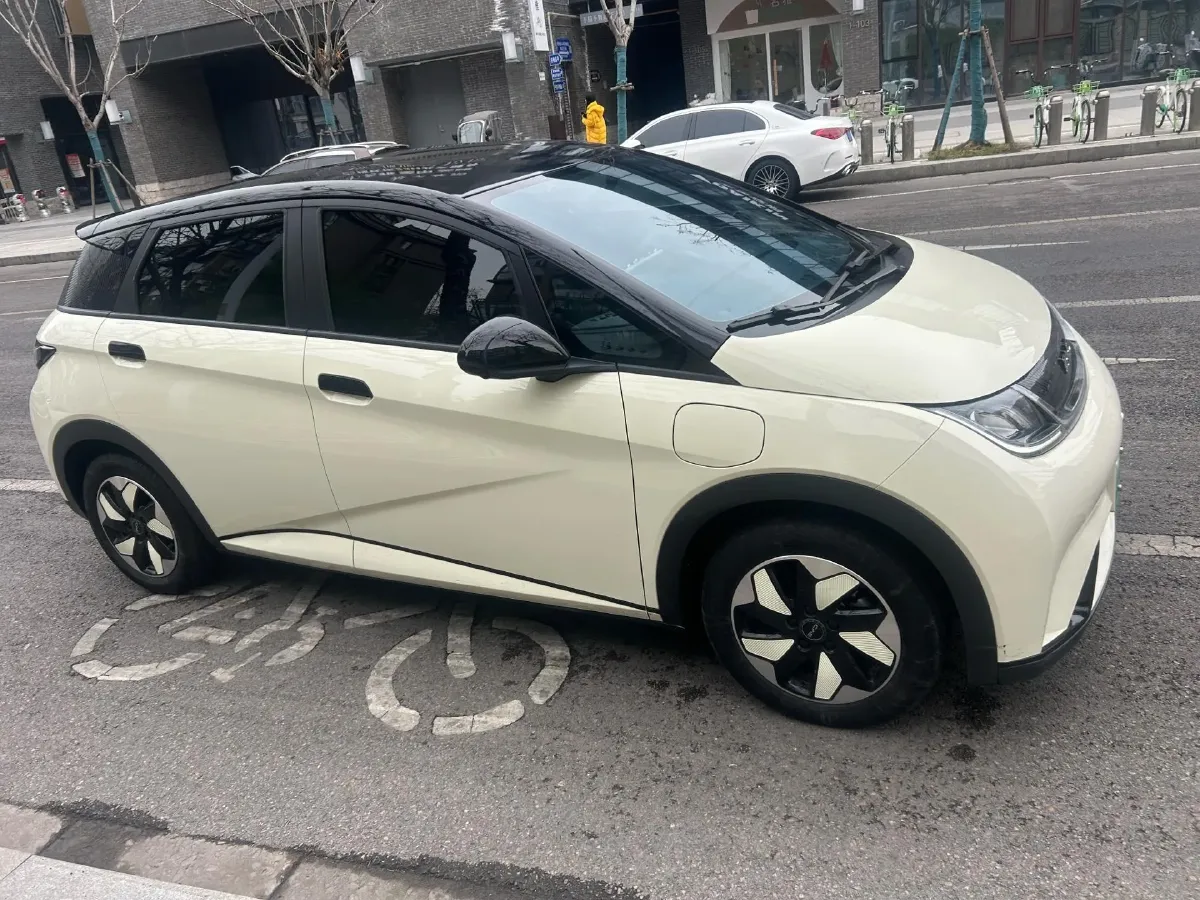 2024 BYD Dolphin BEV 44.928KWH,autocango,china used car exporter,china ev exporter,chinese used car exporter,chinese used ev exporter