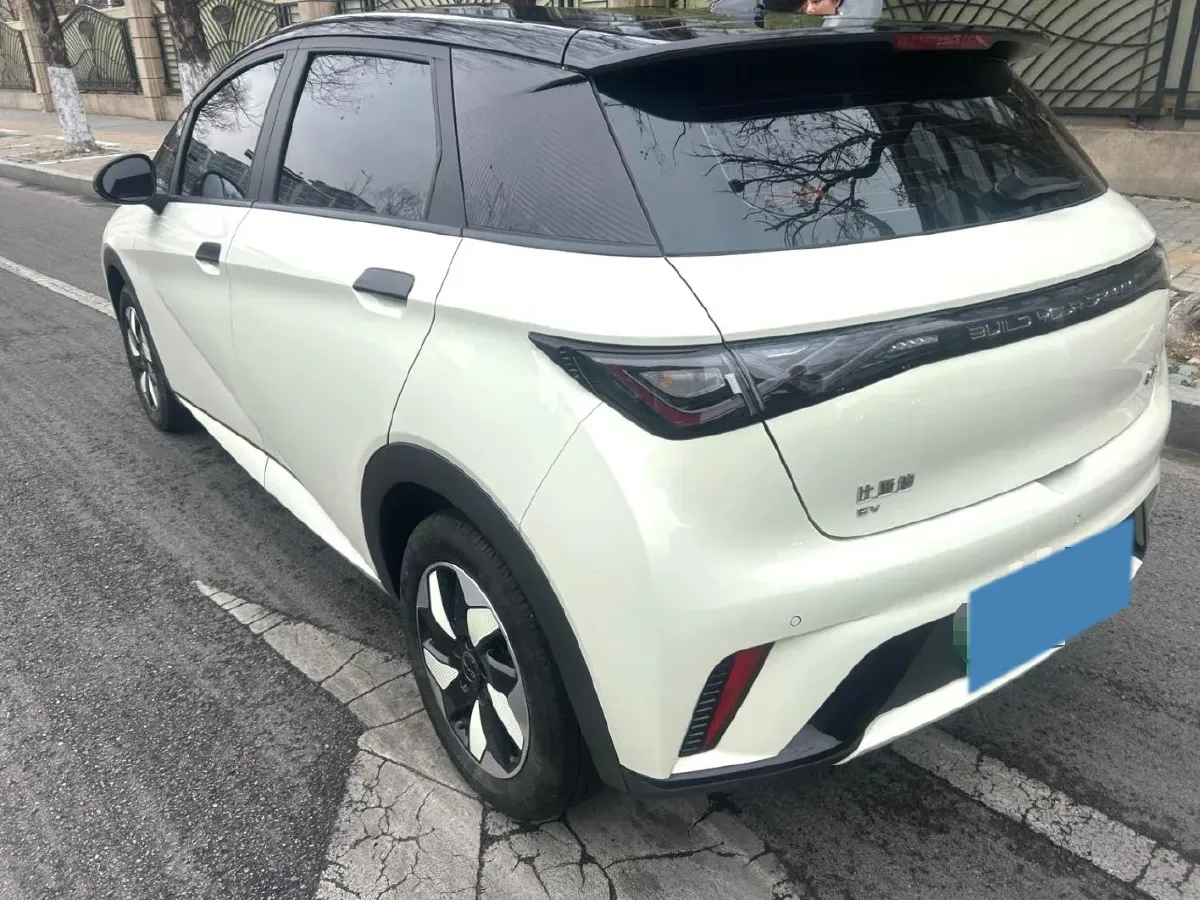 2024 BYD Dolphin BEV 44.928KWH,autocango,china used car exporter,china ev exporter,chinese used car exporter,chinese used ev exporter