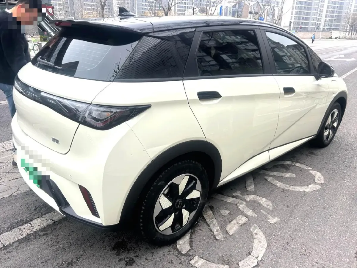 2024 BYD Dolphin BEV 44.928KWH,autocango,china used car exporter,china ev exporter,chinese used car exporter,chinese used ev exporter