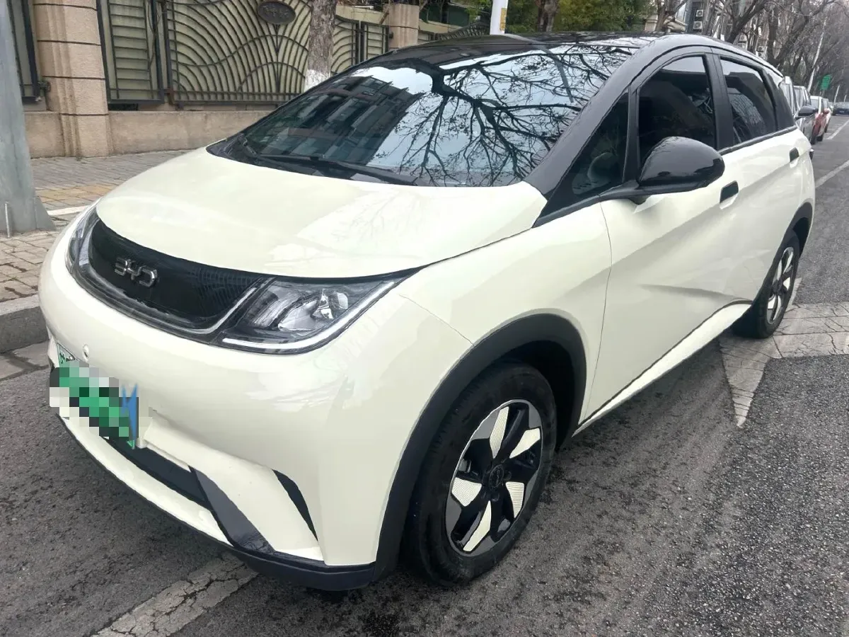2024 BYD Dolphin BEV 44.928KWH,autocango,china used car exporter,china ev exporter,chinese used car exporter,chinese used ev exporter