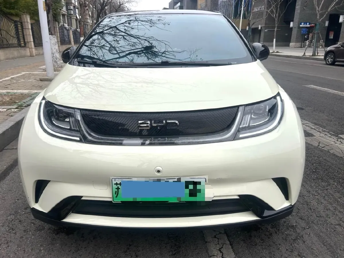 2024 BYD Dolphin BEV 44.928KWH,autocango,china used car exporter,china ev exporter,chinese used car exporter,chinese used ev exporter