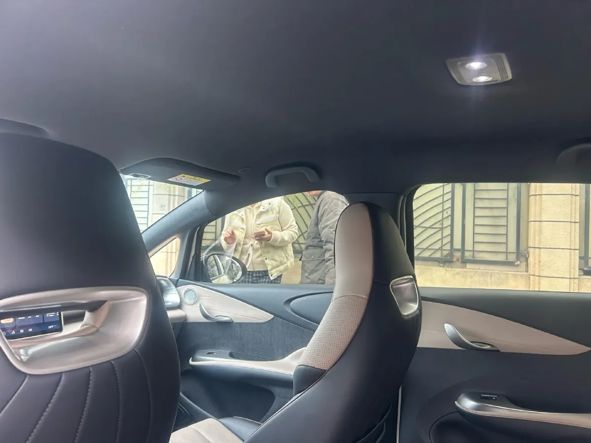 2024 BYD Dolphin BEV 44.928KWH,autocango,china used car exporter,china ev exporter,chinese used car exporter,chinese used ev exporter