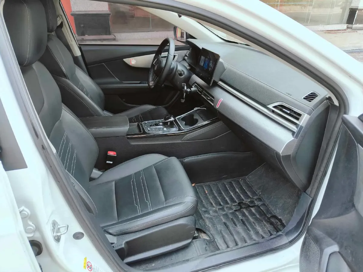 2019 BYD Qin BEV 53.1KWH,autocango,china used car exporter,china ev exporter,chinese used car exporter,chinese used ev exporter