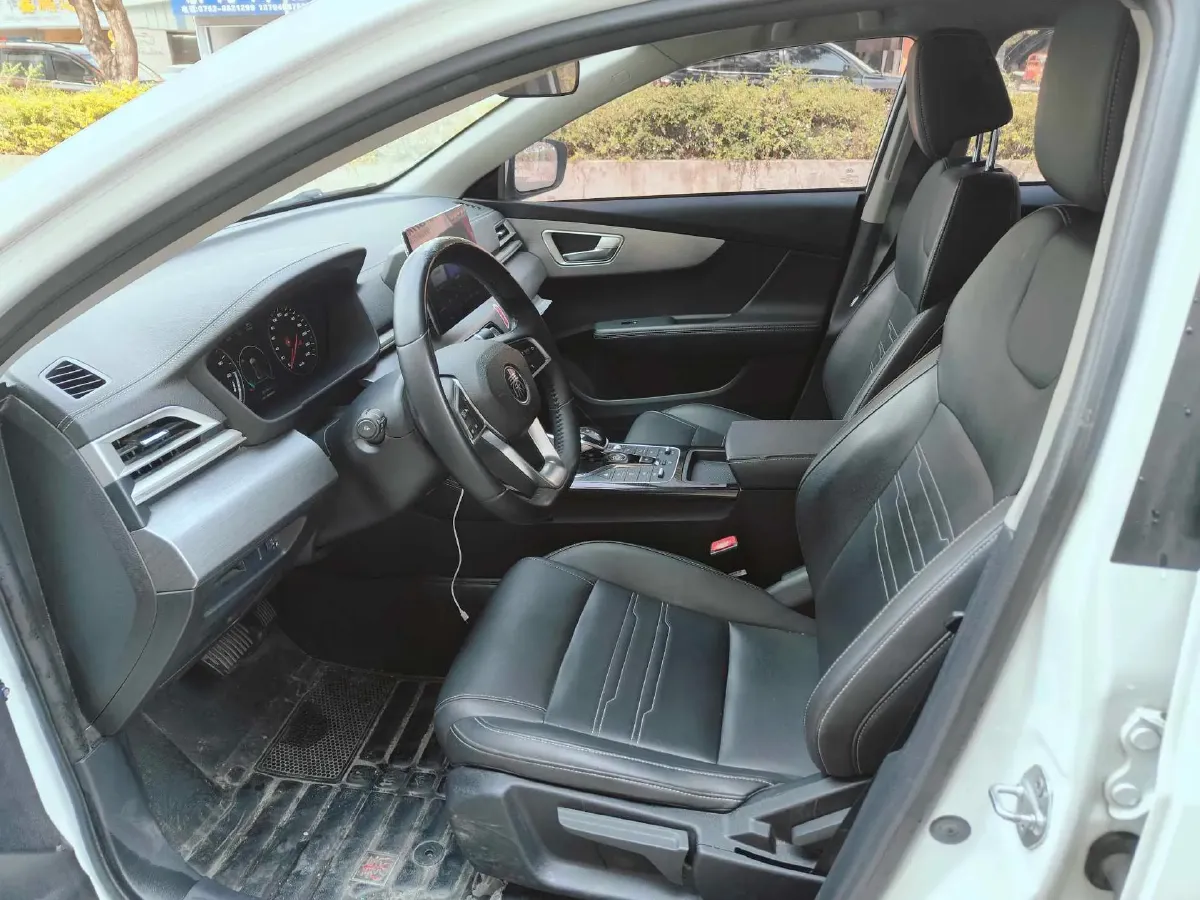 2019 BYD Qin BEV 53.1KWH,autocango,china used car exporter,china ev exporter,chinese used car exporter,chinese used ev exporter