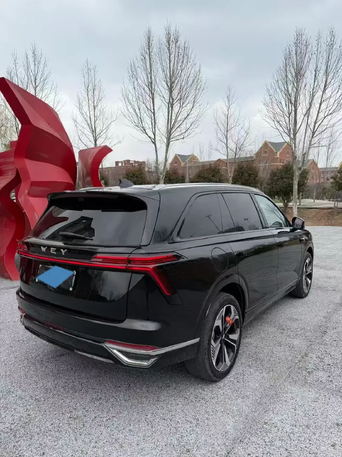 2025 WEY BlueMountain 1.5T 170HP L4 4DHT PHEV 44.5KWH,autocango,china used car exporter,china ev exporter,chinese used car exporter,chinese used ev exporter