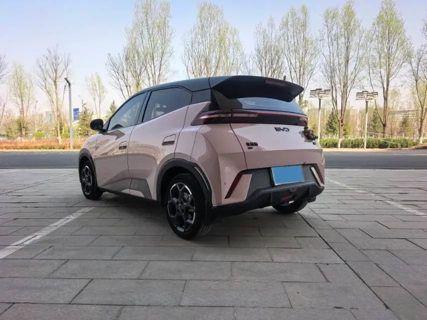 2024 BYD Seagull BEV 30.08KWH,autocango,china used car exporter,china ev exporter,chinese used car exporter,chinese used ev exporter