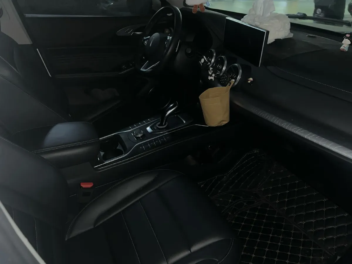 2021 WEY VV5 1.5T 171HP L4 7DCT,autocango,china used car exporter,china ev exporter,chinese used car exporter,chinese used ev exporter