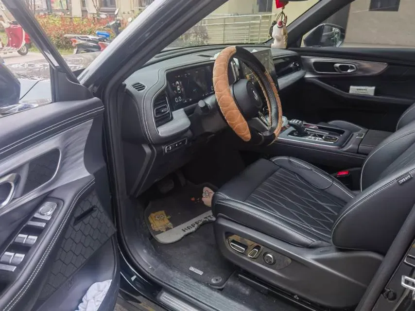 2025 GAC Trumpchi GS8 2.0T 252HP L4 8AT,autocango,china used car exporter,china ev exporter,chinese used car exporter,chinese used ev exporter