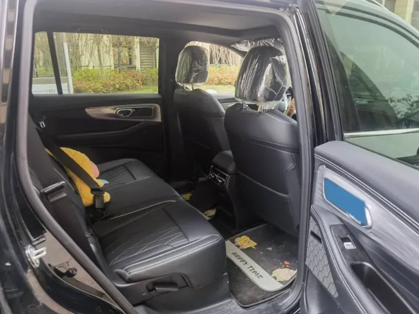 2025 GAC Trumpchi GS8 2.0T 252HP L4 8AT,autocango,china used car exporter,china ev exporter,chinese used car exporter,chinese used ev exporter