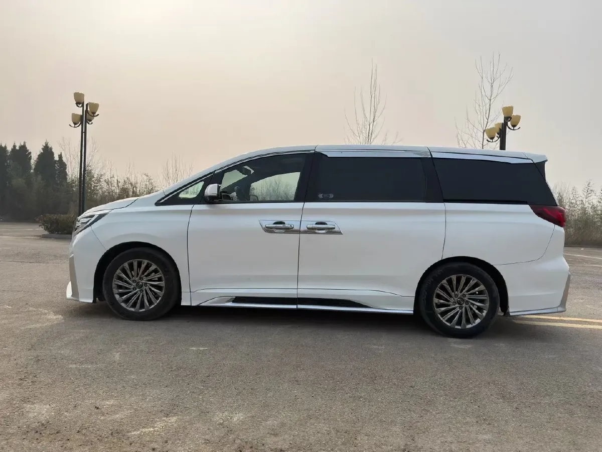 2021 GAC Trumpchi M8 2.0T 252HP L4 8AT,autocango,china used car exporter,china ev exporter,chinese used car exporter,chinese used ev exporter