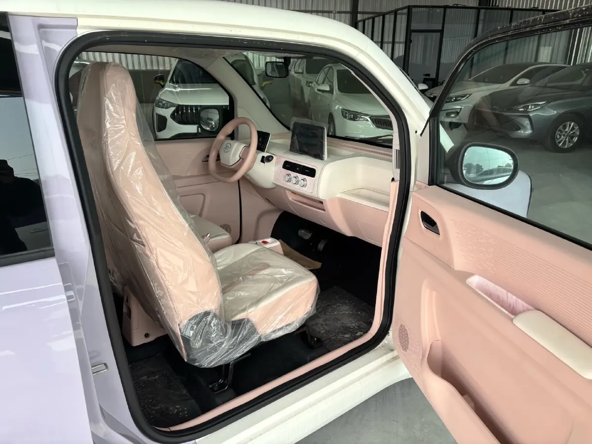 2024 ZD Rainbow BEV 17.3KWH,autocango,china used car exporter,china ev exporter,chinese used car exporter,chinese used ev exporter