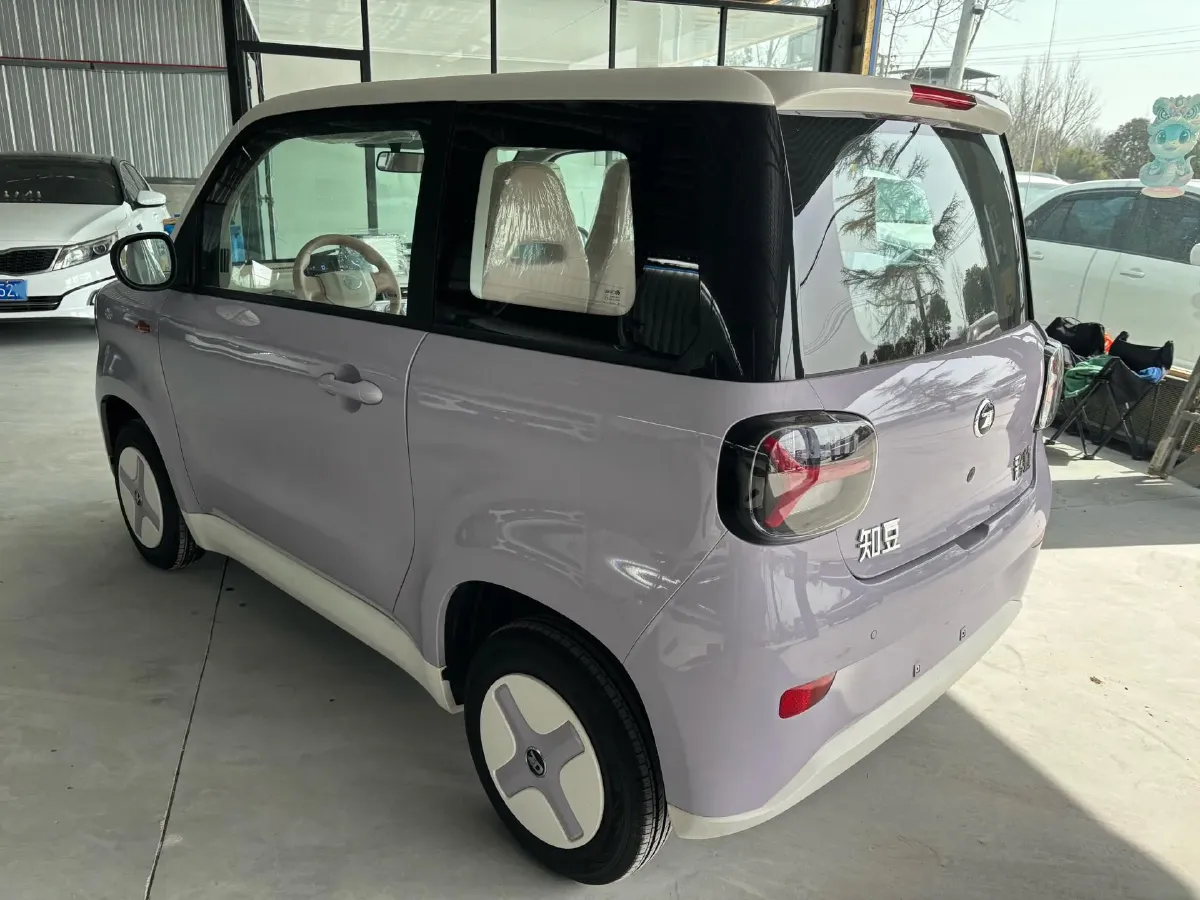 2024 ZD Rainbow BEV 17.3KWH,autocango,china used car exporter,china ev exporter,chinese used car exporter,chinese used ev exporter