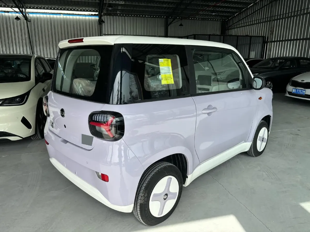 2024 ZD Rainbow BEV 17.3KWH,autocango,china used car exporter,china ev exporter,chinese used car exporter,chinese used ev exporter