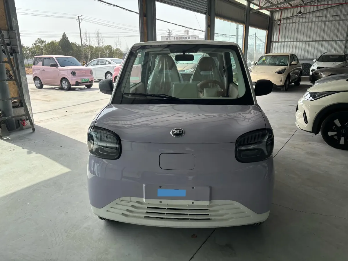 2024 ZD Rainbow BEV 17.3KWH,autocango,china used car exporter,china ev exporter,chinese used car exporter,chinese used ev exporter