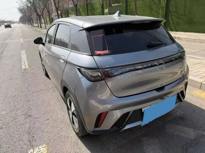 2023 BYD Dolphin BEV 44.928KWH,autocango,china used car exporter,china ev exporter,chinese used car exporter,chinese used ev exporter