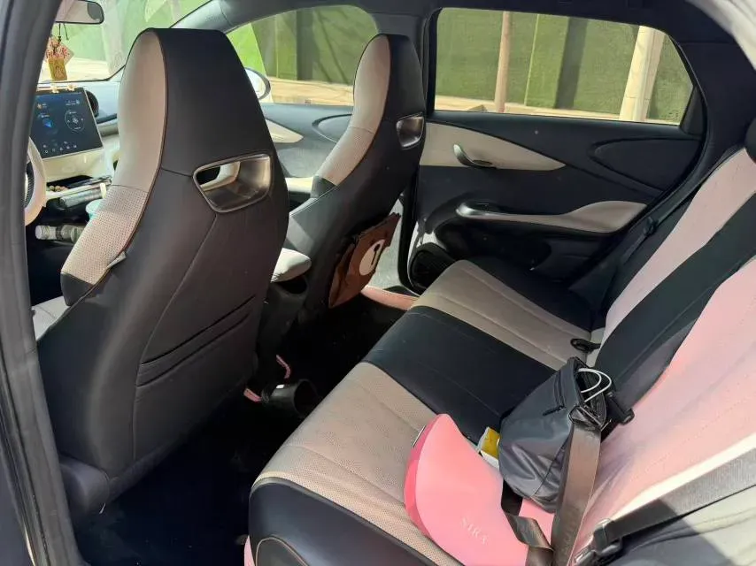 2023 BYD Dolphin BEV 44.928KWH,autocango,china used car exporter,china ev exporter,chinese used car exporter,chinese used ev exporter