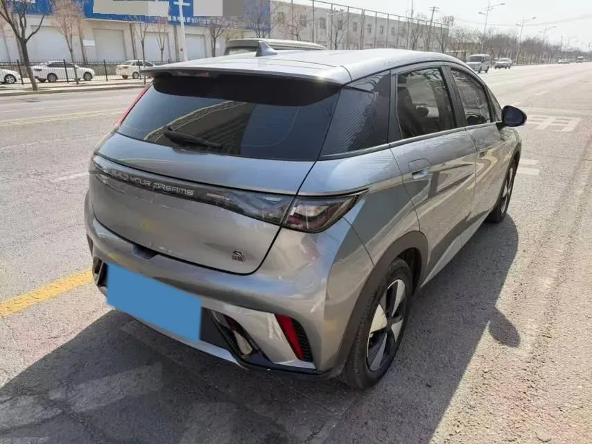 2023 BYD Dolphin BEV 44.928KWH,autocango,china used car exporter,china ev exporter,chinese used car exporter,chinese used ev exporter