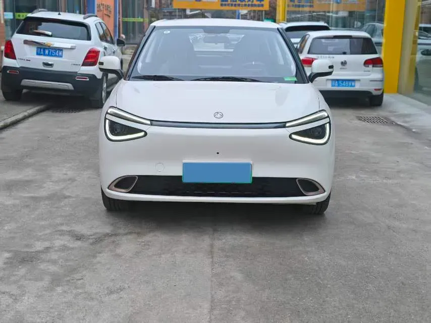 2024 DongFeng eπ 01 BEV 42.3KWH,autocango,china used car exporter,china ev exporter,chinese used car exporter,chinese used ev exporter